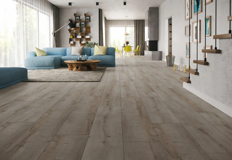 Ламинат Classen Harmony Forte 8/33 56613 Дуб Тренто
